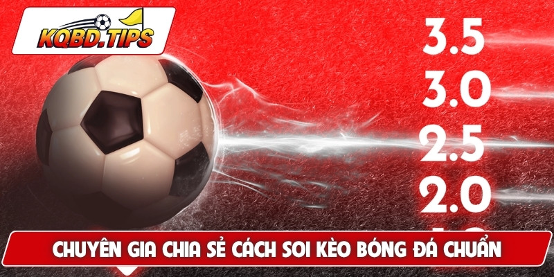 Chuyên gia chia sẻ cách soi kèo bóng đá chuẩn