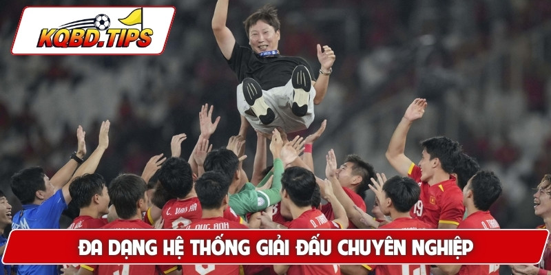 Đa dạng hệ thống giải đấu chuyên nghiệp