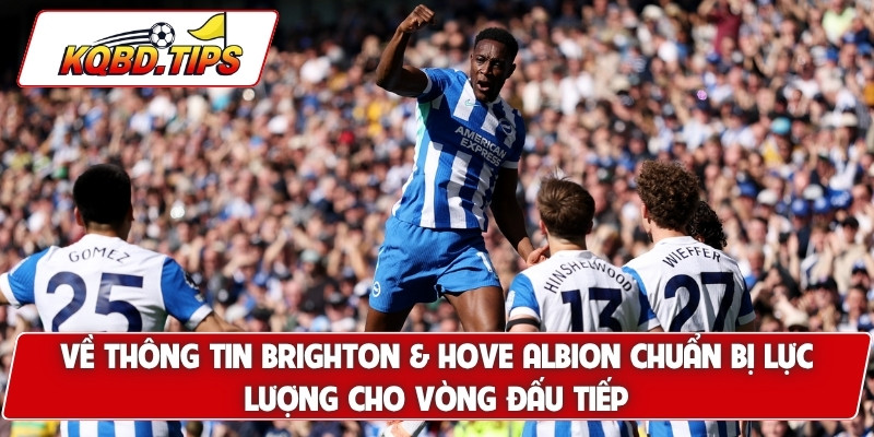 Về thông tin Brighton & Hove Albion chuẩn bị lực lượng cho vòng đấu tiếp